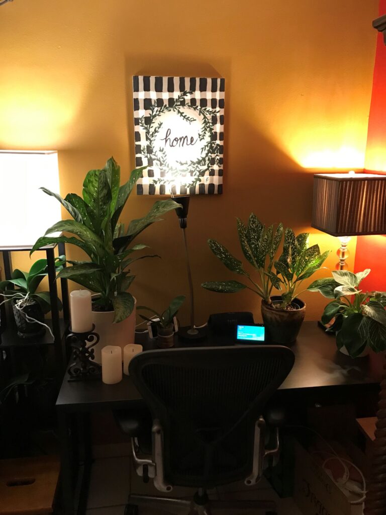 Workspace plants